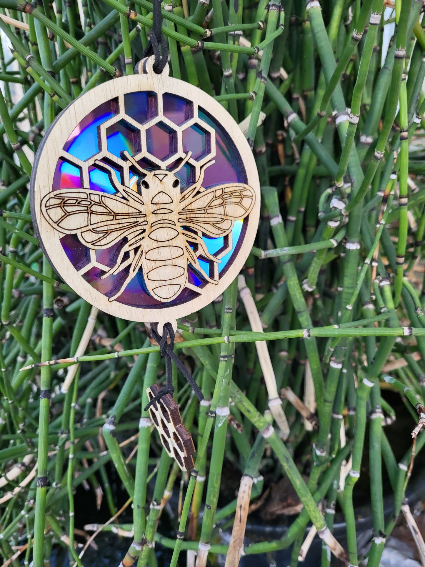 Suncatcher - Repurposed DVD - Bee and Honeycomb